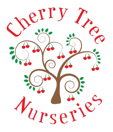 Cherry Tree Nursery